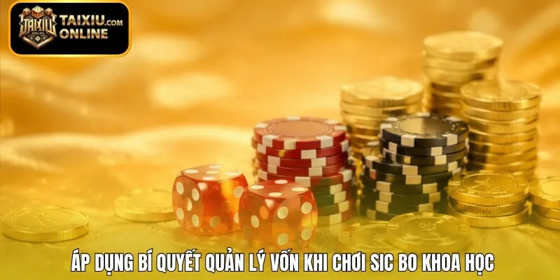 Áp dụng bí quyết quản lý vốn khi chơi Sic Bo khoa học