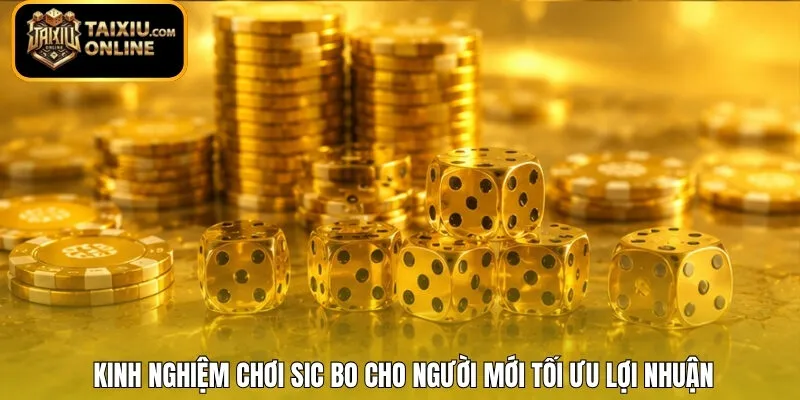 Kinh nghiệm chơi Sic Bo cho người mới tối ưu lợi nhuận