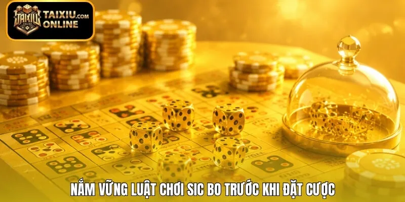 Nắm vững luật chơi Sic Bo trước khi đặt cược 
